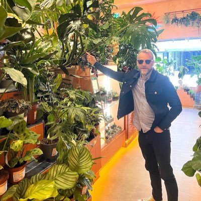 hoggysbeard's profile picture. 