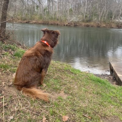 sarah07048's profile picture. 