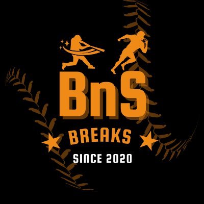 BnsBreaks Profile Picture