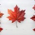 Canadianupnorth 18+ ONLY 1K (@canadianupnort1) Twitter profile photo Canadianupnorth 18+ ONLY 1K (@canadianupnort1) Twitter profile photo