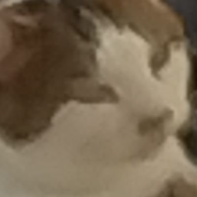 yamanetkt's profile picture. よろしく