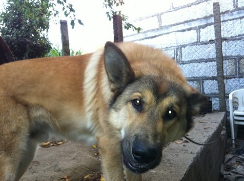 Mael_ito's profile picture. 