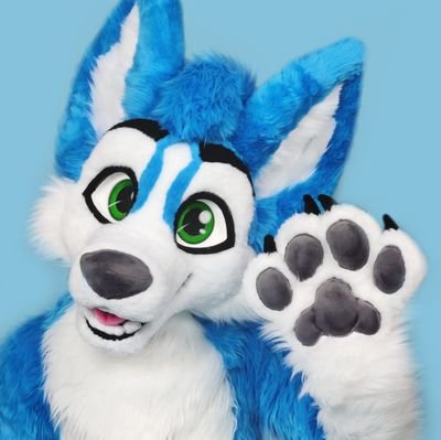 this account is going to be filled with pictures of a derpy and fluffy blue husky ^^ pfp and suit made by @MiesdoCreations