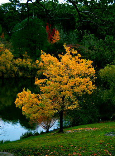 r77hewitt's profile picture. born and bought up in India, migrated to U S 25+ years back. Eager to study Bible in its fullness. I am retired and want to do more search in the Book of Life.