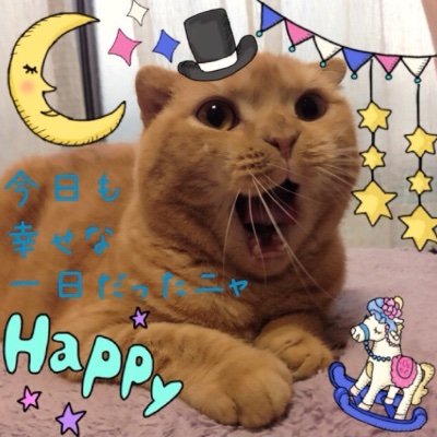 ◎クッキー◎さんのプロフィール画像
