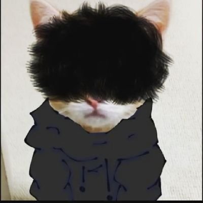 zzzJaksh's profile picture. a