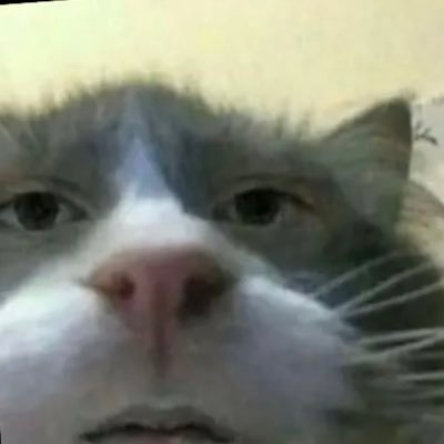 Jahnster1's profile picture. 😂