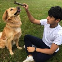 asim (@asimdotshrestha) 's Twitter Profile Photo asim (@asimdotshrestha) 's Twitter Profile Photo