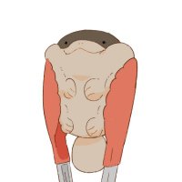 koodlenoodle (@koodlenoodleg) 's Twitter Profile