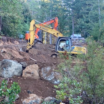 KimMort8's profile picture. 