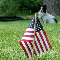 Myoldpalbob (@myoldpalbob) 's Twitter Profile