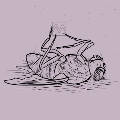 Grand Rapids, Michigan based emo/post-hardcore/pop punk. Music available on iTunes, amazon mp3, youtube, spotify, more! https://t.co/hiF4A4JjEJ