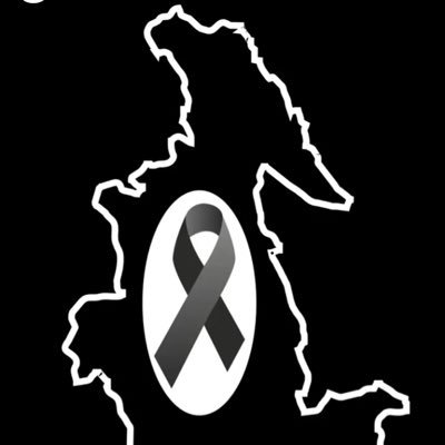 flesoft's profile picture. 