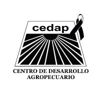 CEDAP - Centro de Desarrollo Agropecuario(@CEDAPAYACUCHO) 's Twitter Profile Photo