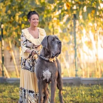 Welcome to the #greatdane Lovers page!✌️ Follow us for smile 😊 This page is dedicated for all #greardane Owners and Lovers