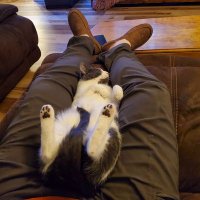 mikmeh (@mikmeh33) 's Twitter Profile