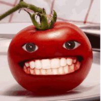 ToeMayToe (@toemaytoe21) 's Twitter Profile
