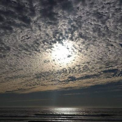 globee1448's profile picture. 