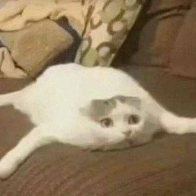 Naeli_chan's profile picture. I'm a cucumber