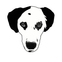 Spotted Dog Media(@SDogMedia) 's Twitter Profile Photo