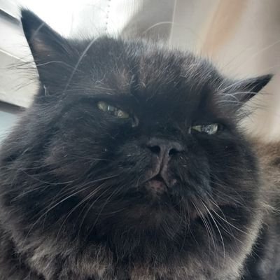 teaysa7's profile picture. line :  teaysa