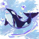 orca_sea_