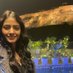 Preeti Chahar (@preetichahar16) Twitter profile photo Preeti Chahar (@preetichahar16) Twitter profile photo