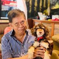 The Dogfather (@casapaoperry) 's Twitter Profile