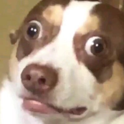 luvdaffyeiei's profile picture. 