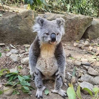 asanemu__'s profile picture. パブクラに興味あるのにオンプレの仕事にアサインされる社内SE 。楽しく仕事したい。aws SAP/SAA、azure 305/104