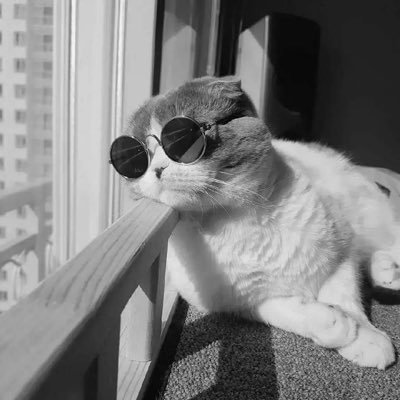 OsloOhis's profile picture. san daro