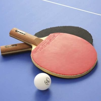 kc_tabletennis's profile picture. 神戸女学院大学卓球同好会(仮)                                
2022年12月2日から活動開始
部員募集中！初心者・経験者大歓迎😊🙌                      活動時間➞金曜日、17時30分〜19時
活動場所➞第3体育館
気になる方は是非DMでお声掛けください💕︎