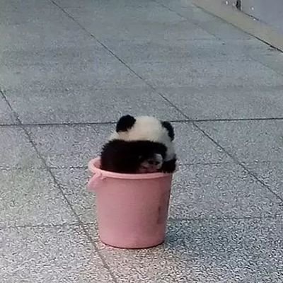 あするふぁるとさんのプロフィール画像