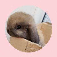 maroha (@exx7sd4uqe77mwn) 's Twitter Profile