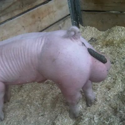 witudhsbrv's profile picture. yup. I’m out. peace to all the homies.