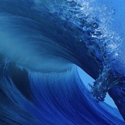 CallMeDocDeb's profile picture. #VoteBlue