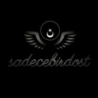 sadecebirdost(@sadecebirdost53) 's Twitter Profile Photo