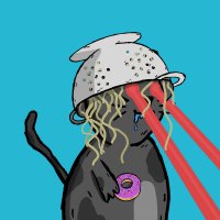 bankrupt (@bankruptonalgo) 's Twitter Profile