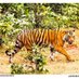Dr desh deepak (@deepaksaikripa1) Twitter profile photo Dr desh deepak (@deepaksaikripa1) Twitter profile photo