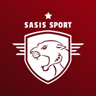 🏆Agence d'accompagnement de projets sportifs
📧 contact@sasisport.com