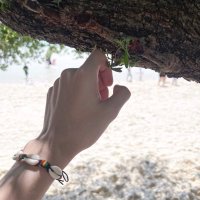 แกน่ะเก่ง (@kaenakeng) 's Twitter Profile