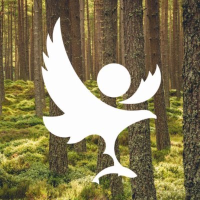 Fàilte! Follow for nature news and conservation updates from the Cairngorms Nature partnership in the Cairngorms National Park (@cairngormsnews)
