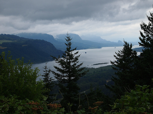 Our mission is to learn outdoor skills for survival and recreation. From hiking to hunting we are in it to learn it all.