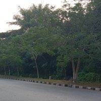 Dr.nasera rizwana (@dr_nasera) 's Twitter Profile Photo Dr.nasera rizwana (@dr_nasera) 's Twitter Profile Photo