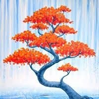 iamObayed's profile picture. 