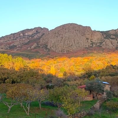 TenoEva's profile picture. Profesora de LCL en Vallekas. Soy incómoda y crítica.
#Degurúseducativoshastaelmoño