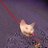 corie_metaverse's profile image