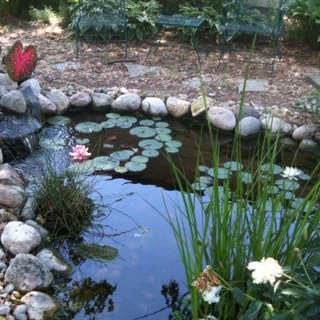 shivejss's profile picture. 