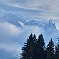 clandestine46 (@clandestine46) 's Twitter Profile