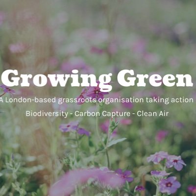 We wild urban spaces and connect people with nature. 
Follow us for news about our planting projects in London & wider campaigns.